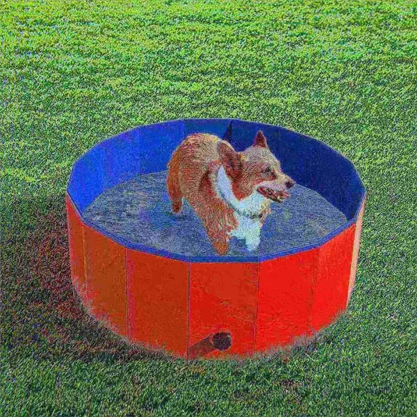 Pet Adobe Pet Pool and Bathing Tub-Foldable with Carrying Bag, Travel Friendly for Dogs, Cats and Pets 30x12 750039BJJ - main